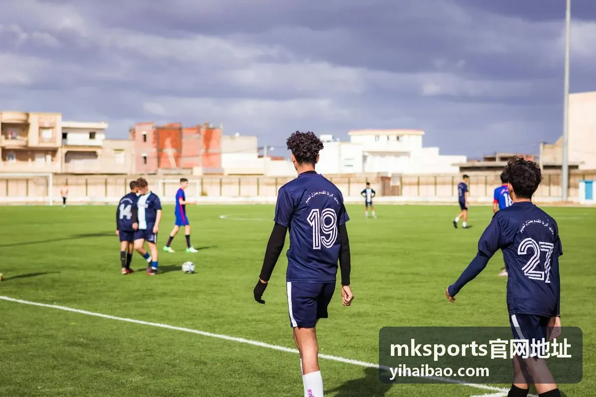 mksports官网地址安全校验与常见问题说明配图