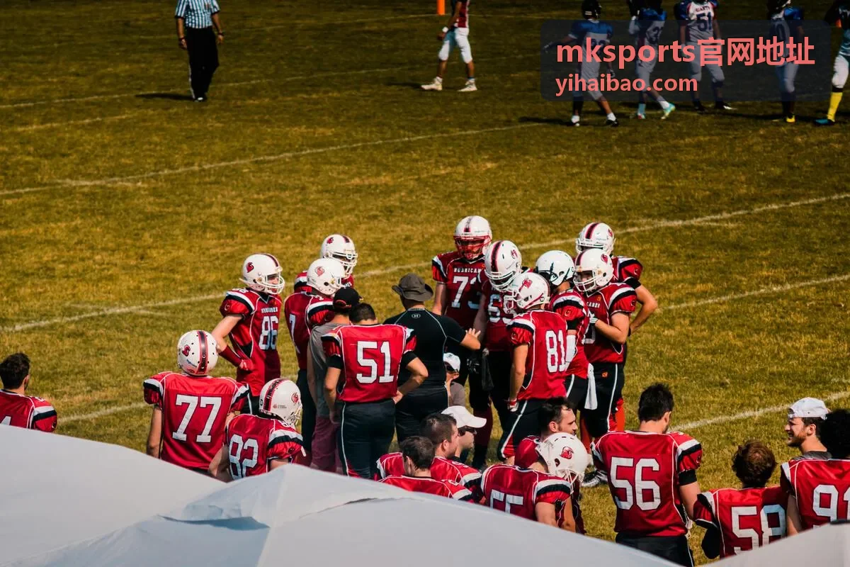 mksports官网地址客户端设备适配核对界面