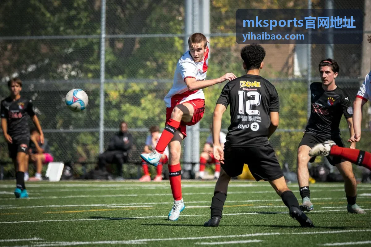 mksports官网地址使用者头像